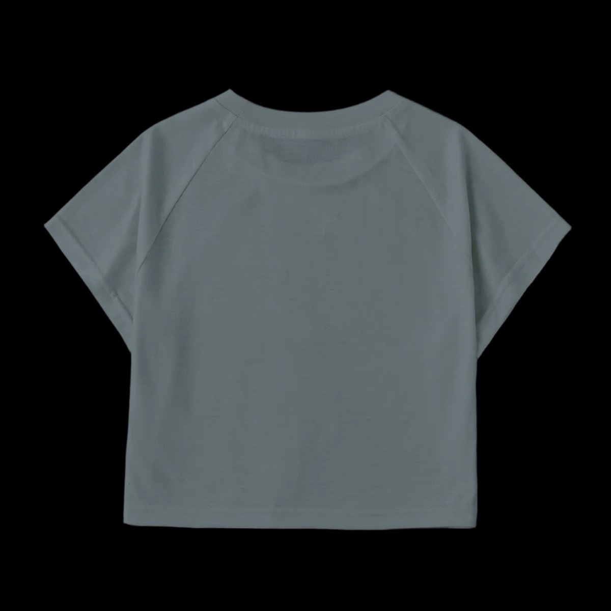 Brown's Canyon WAH crop tee