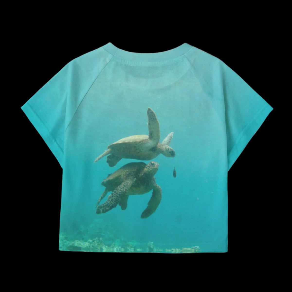 Turtle Days WAH crop tee